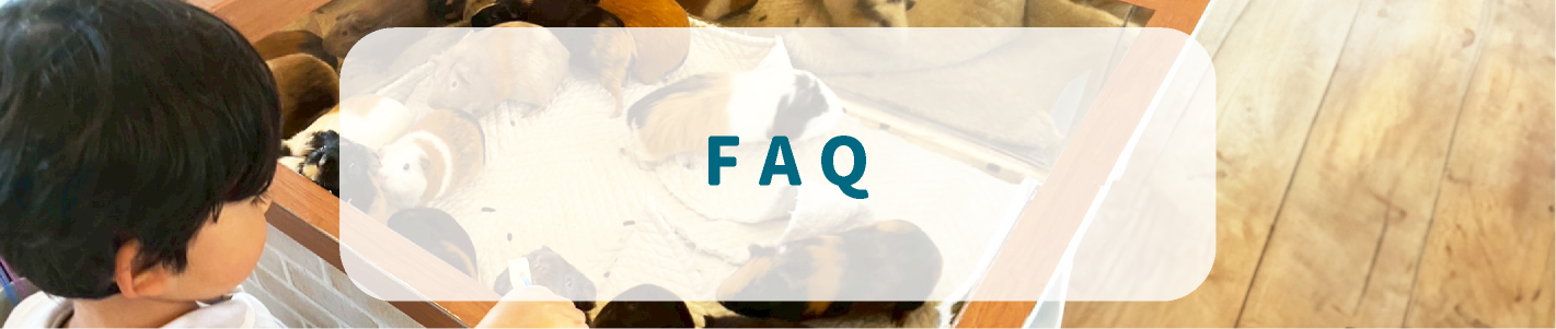 FAQ